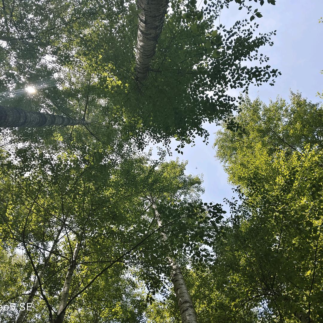 零度