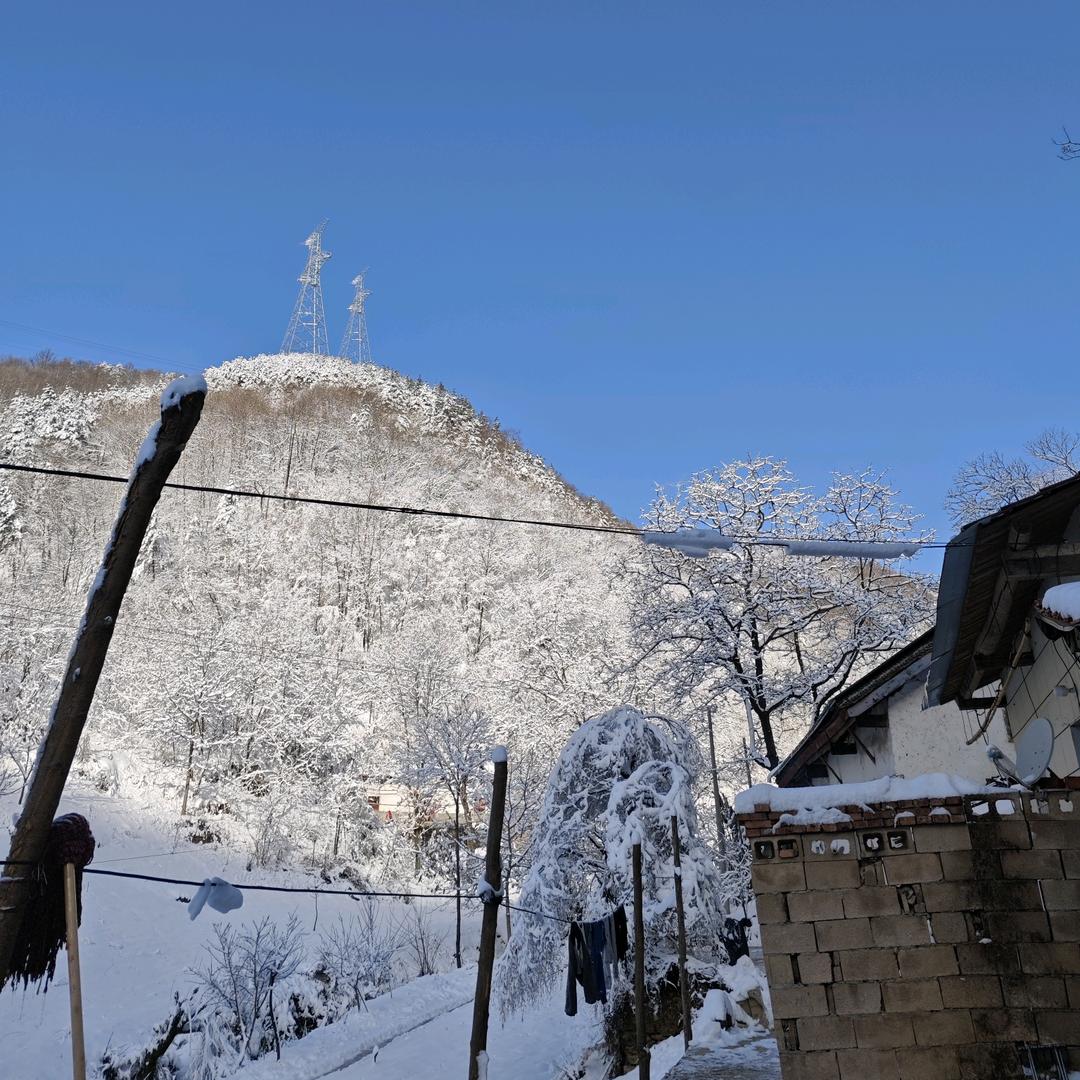 过知桔(依旧帅)