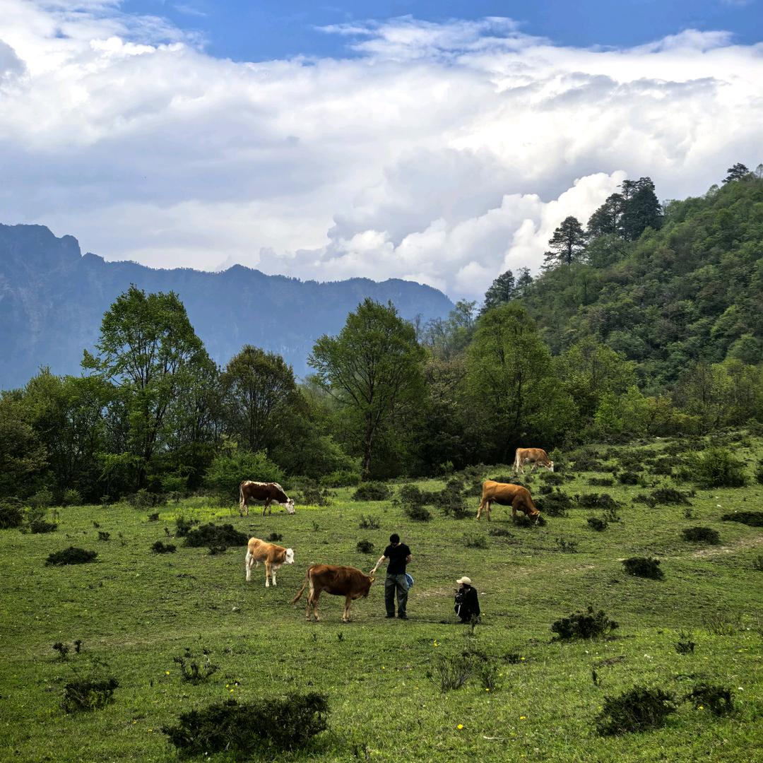 成都丨荒野徒步
