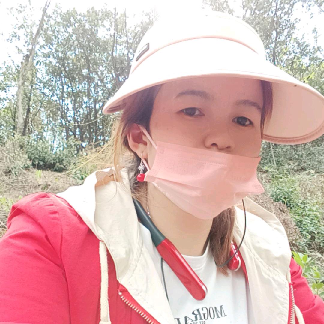 小杨