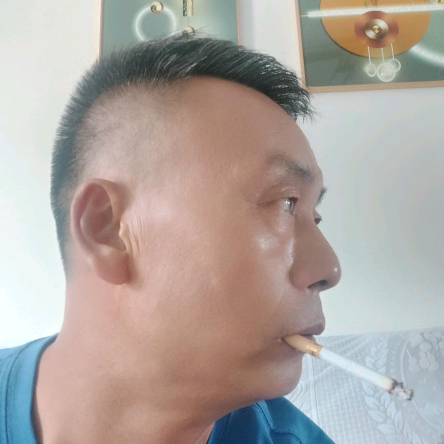 小虎歌