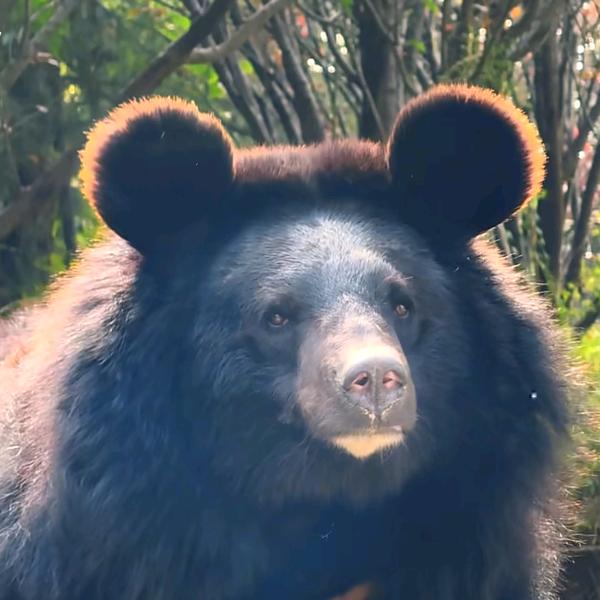 待我披上袈裟时