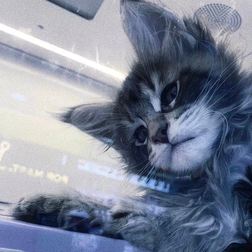 Tom🧸k.