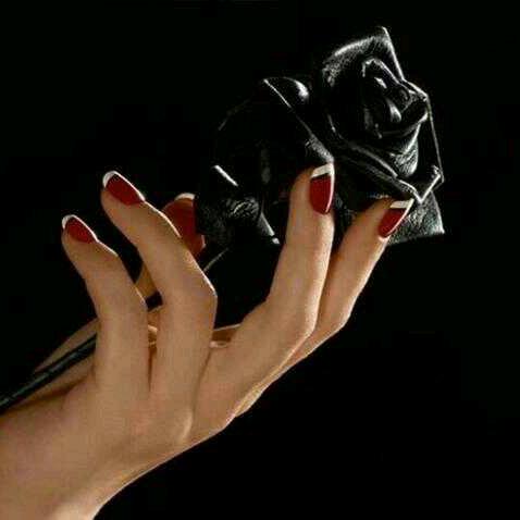 带刺的玫瑰🌹💋❤️