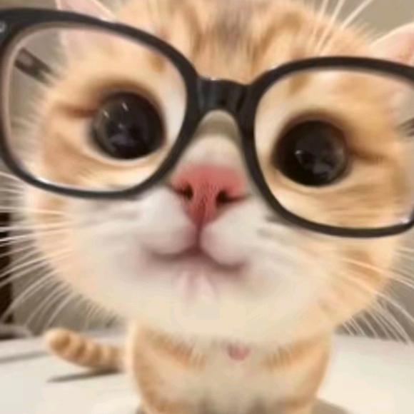 ^喵^🐱