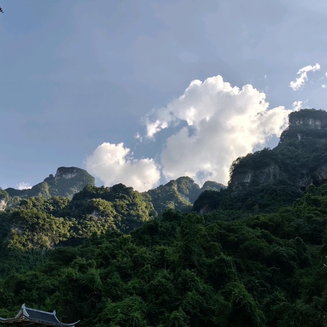 觉醒