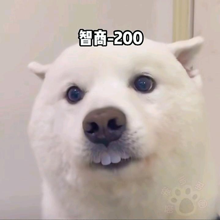 正ěr八经城里人