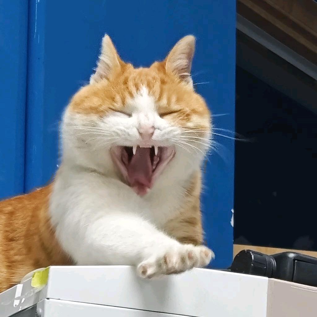 恩典之家民宿（忻州古城店）