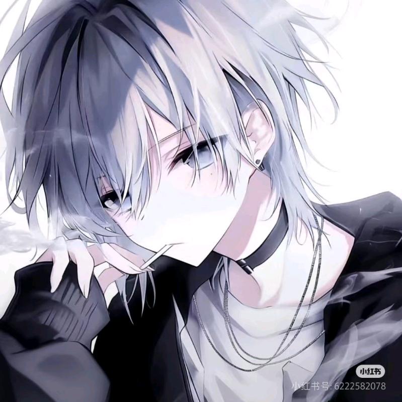 白Tvt