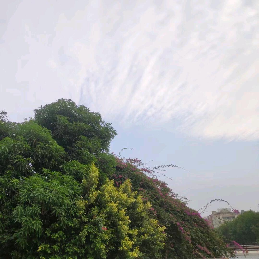 小懒虫