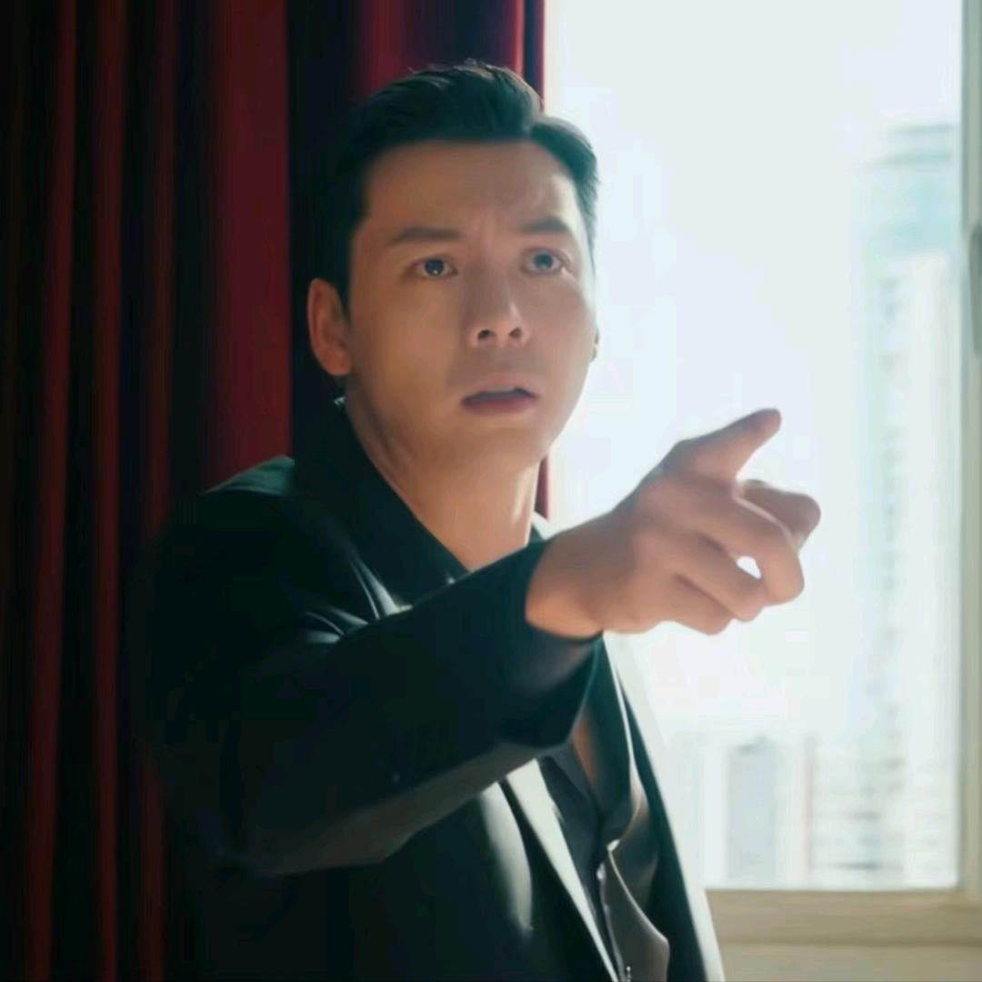在顿河发呆的天鹅