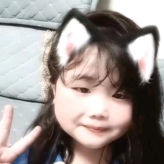 高速领航者