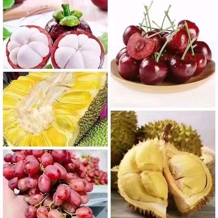 WX-A斗金达人厂家对接