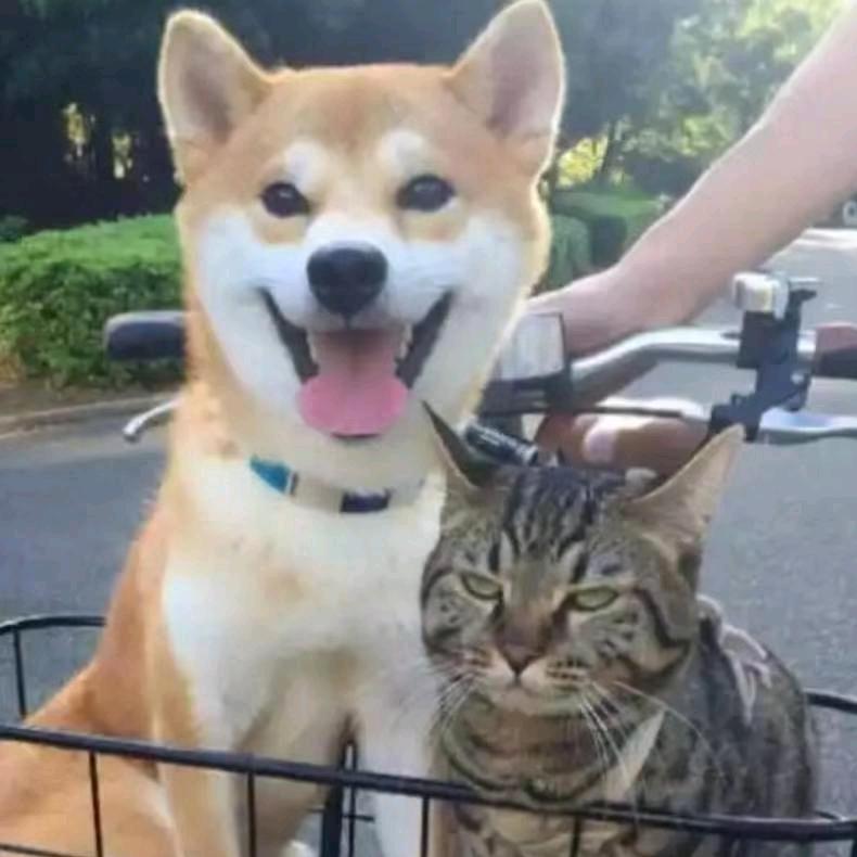 百万读书创业（80后）