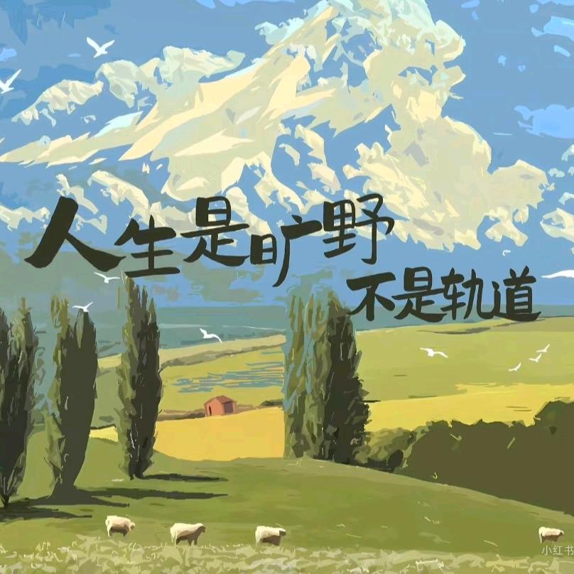 扶老奶奶闯红灯