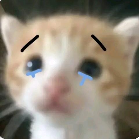 ⁺✞ʚ烤全羊大王ɞ✟₊