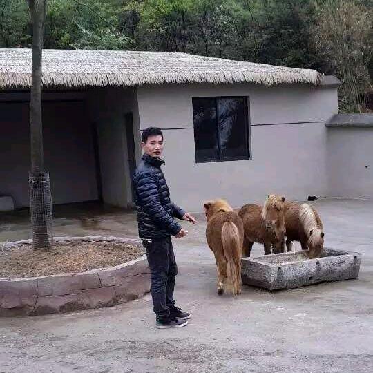 水果搬运工