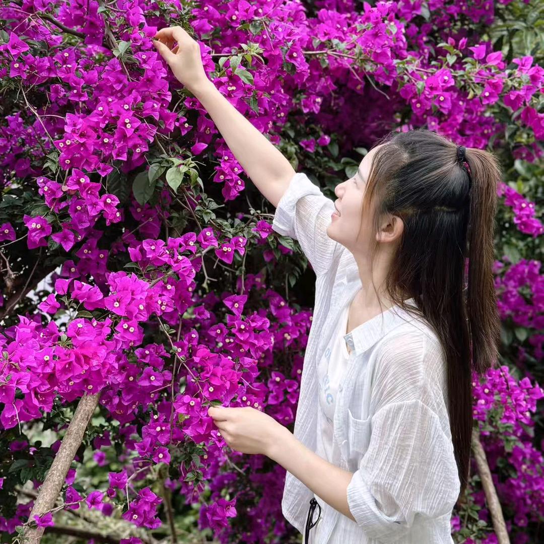 贵州燕子（照天力）