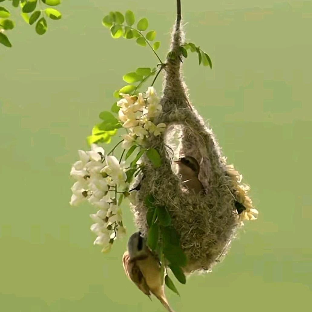 💫知👣❤️常乐💫