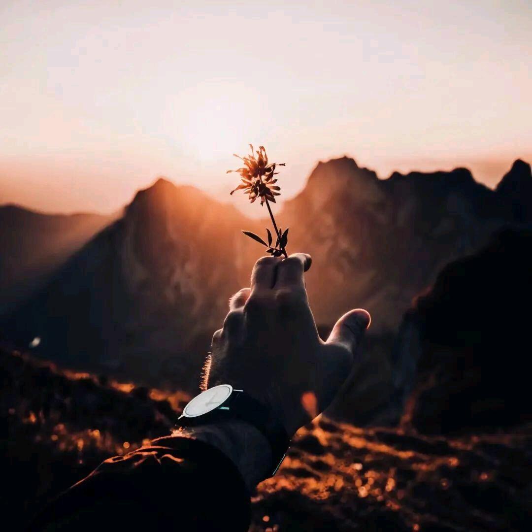 🥀小小