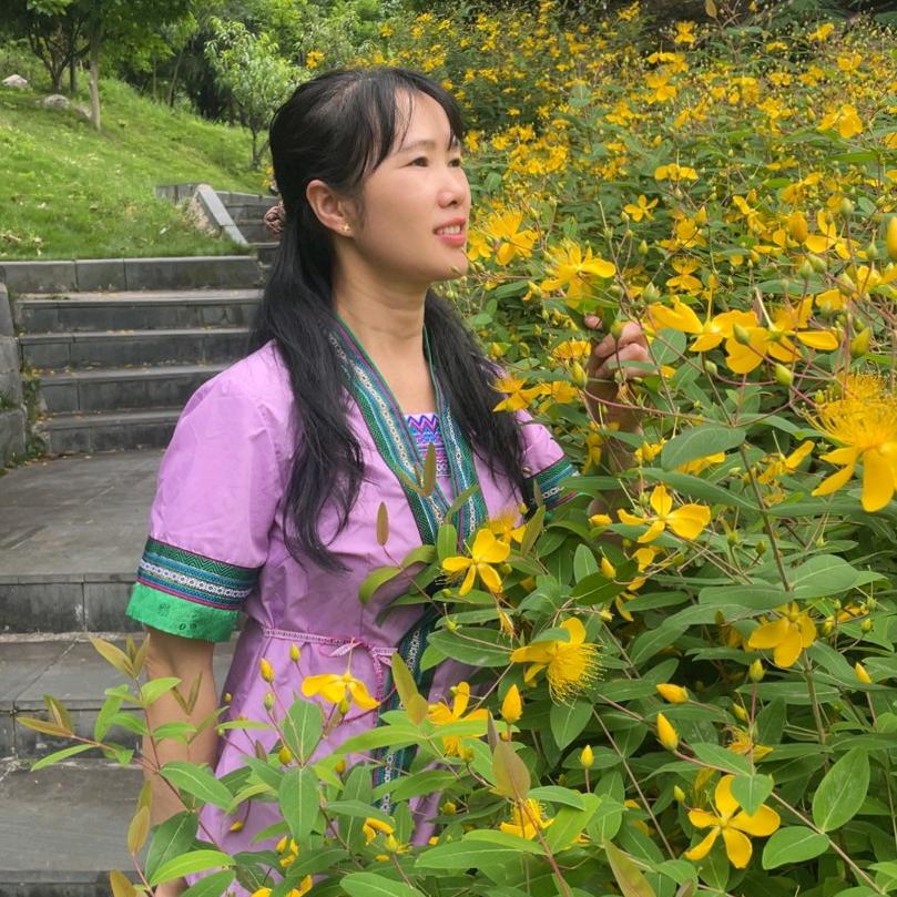 温暖阳光