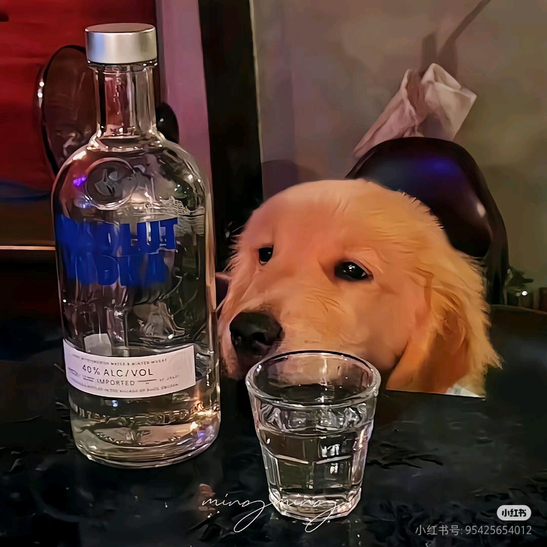 ૡ三秒心动