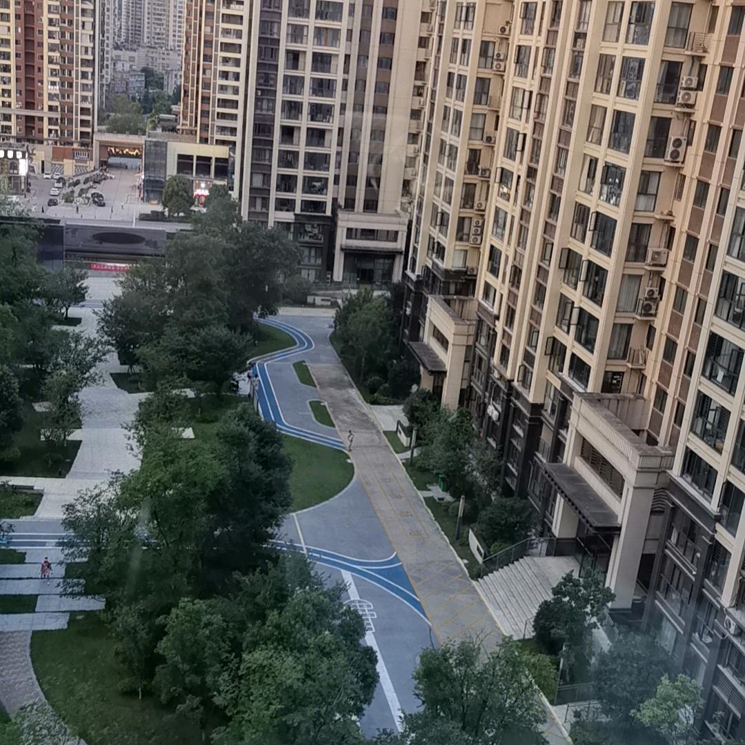 兔子乖乖。