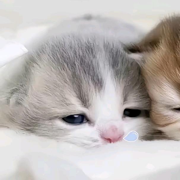 一觉睡到自然死