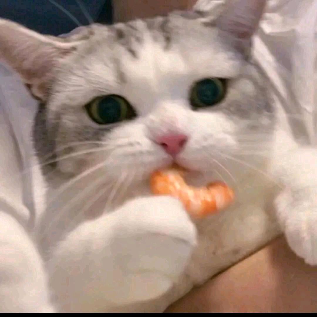 圆圆啊