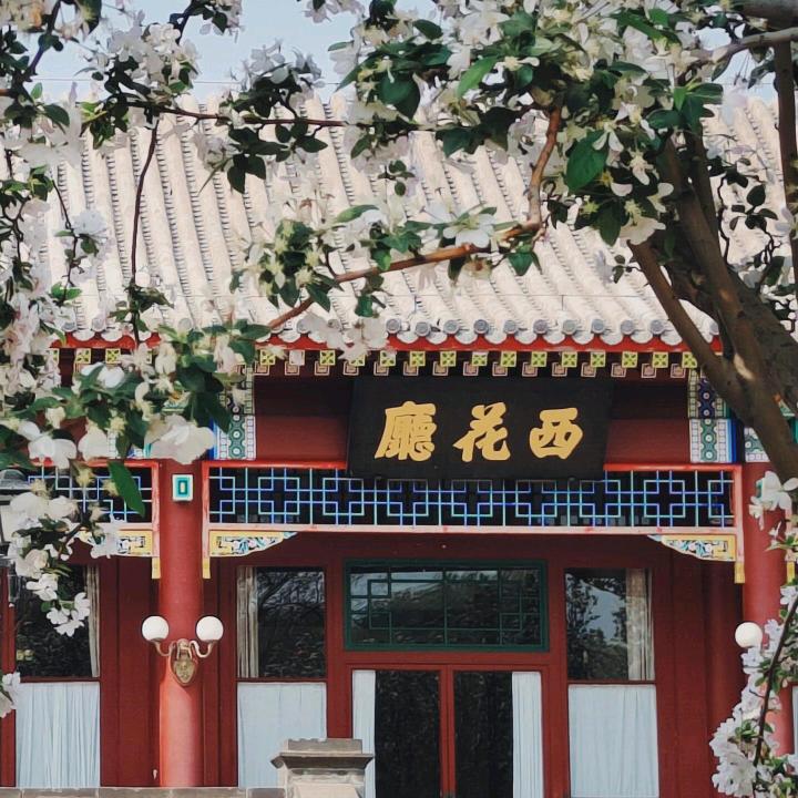 董先生🇨🇳