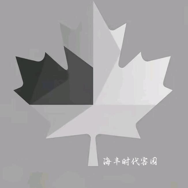 简约之枫