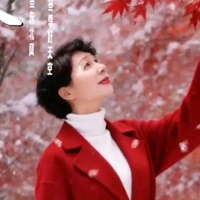 凤雅悦读