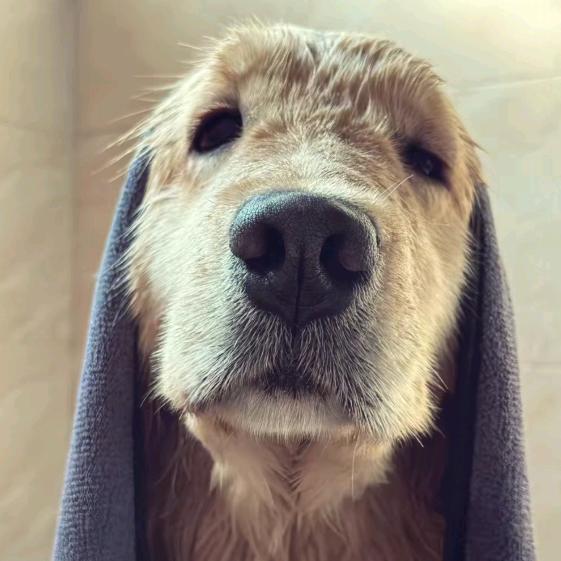 生理盐水《天才》