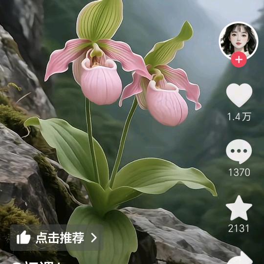 墨竹雨