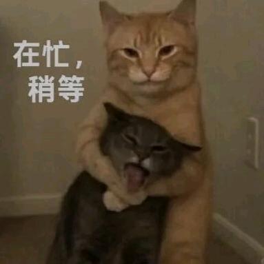 辣么宣！