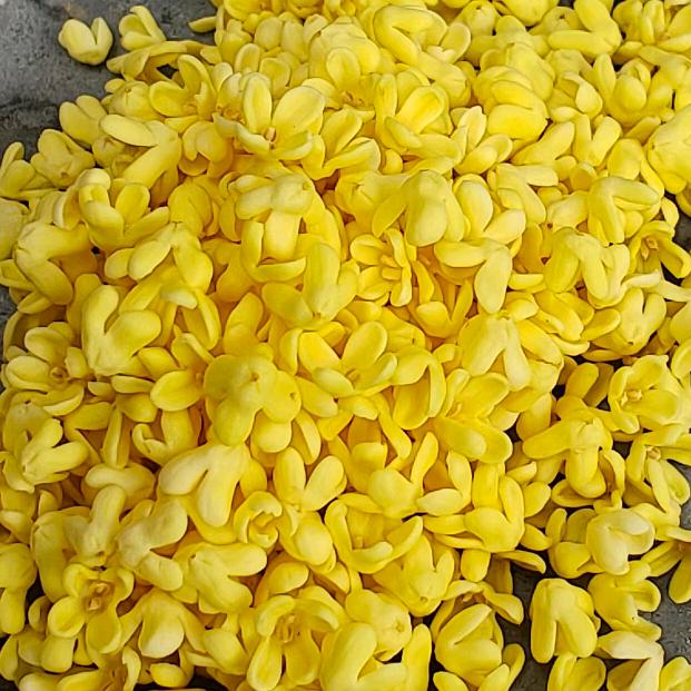 桂林大迈桂花干 罗汉果