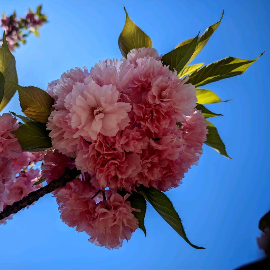 太行脚下的小光阴