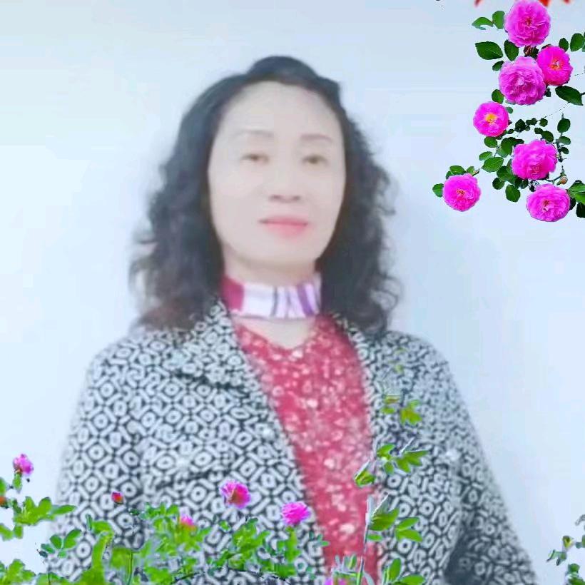 红婵（ 铁粉）