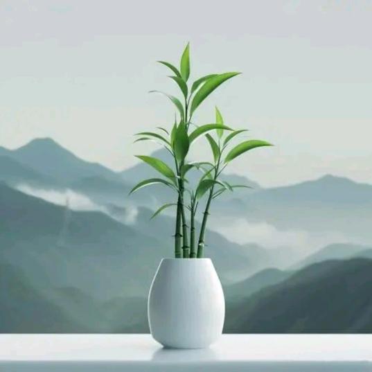 何大姐