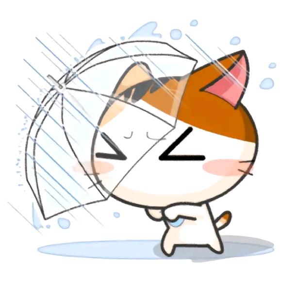 南方