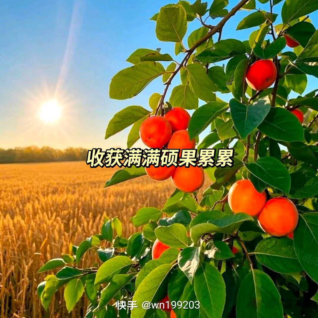 旺旺！宾至如归优品小铺！
