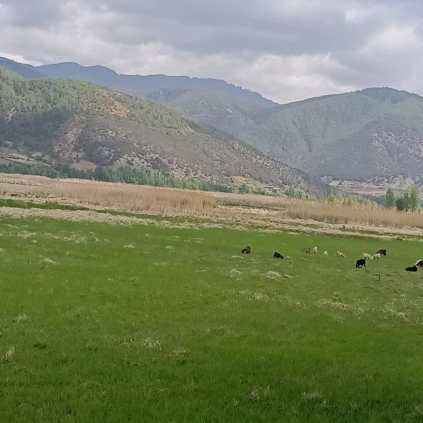 陈雪如惠和三大队二小队，惠安南三路，橱窗