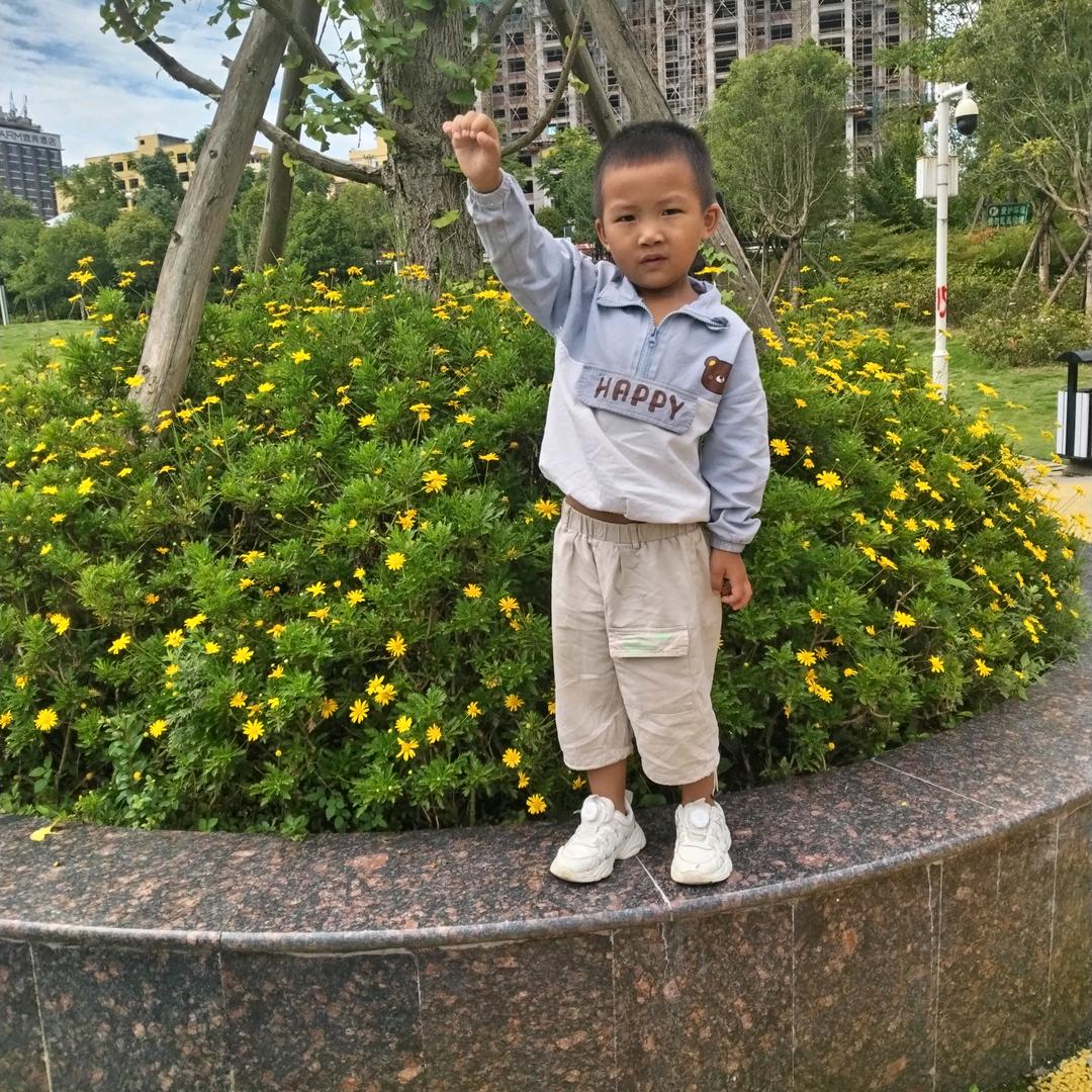 风春