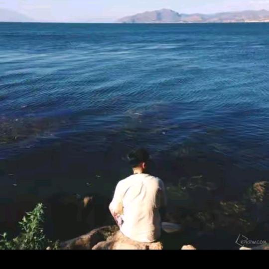 四海为家