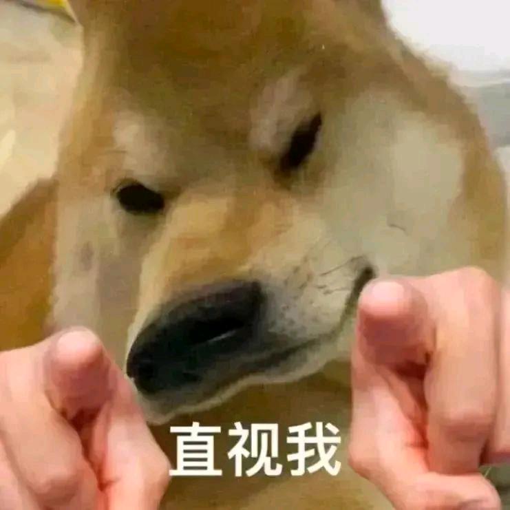 一生之敌石墩子