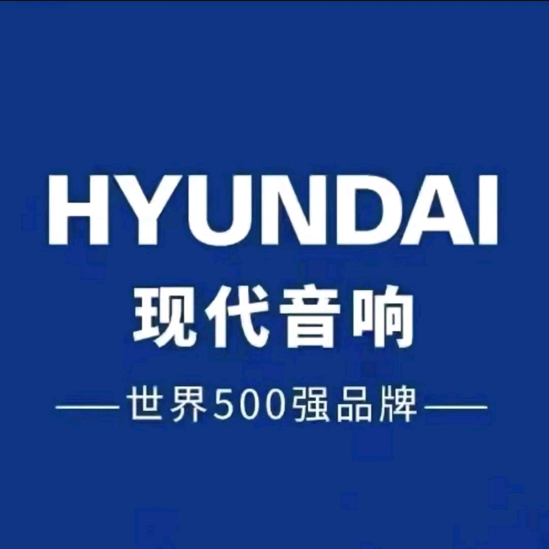 HYUNDAI现代安田音响工厂店