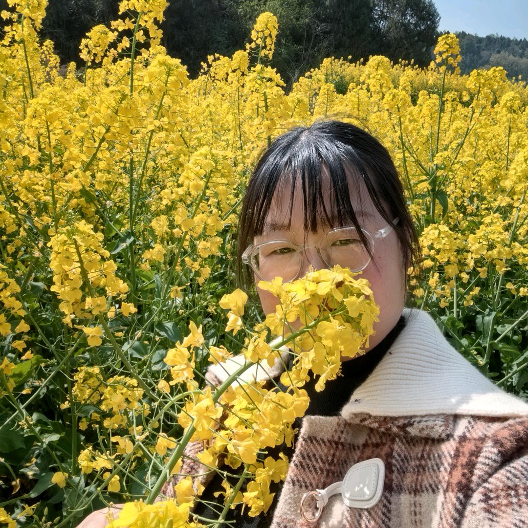 珠珠