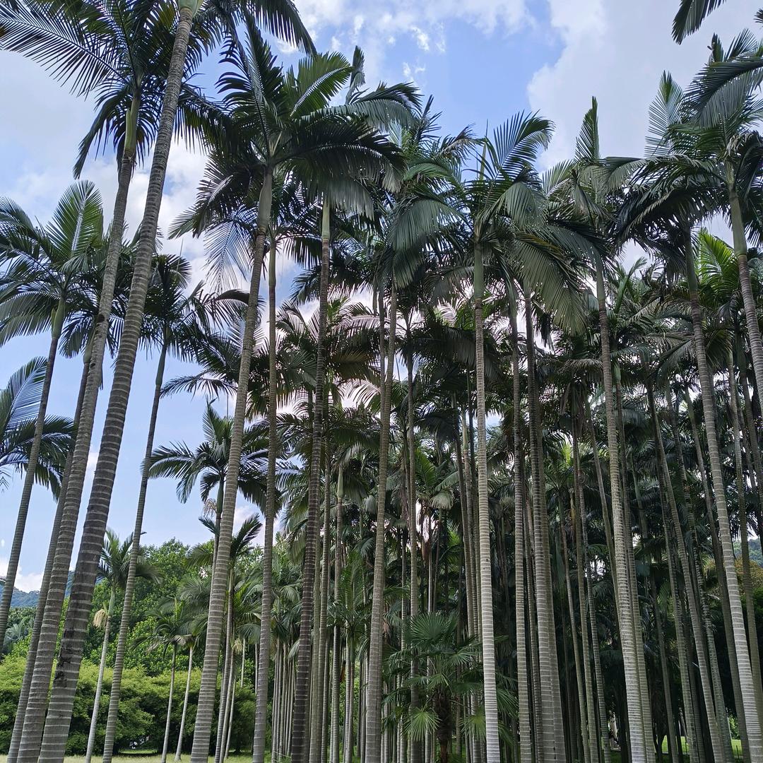🌈又宝家的鲜果摊™