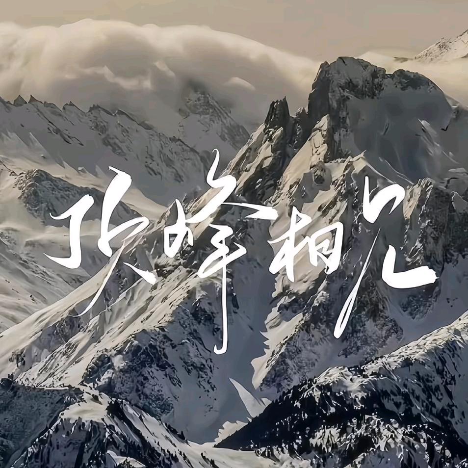 ddd打底专家