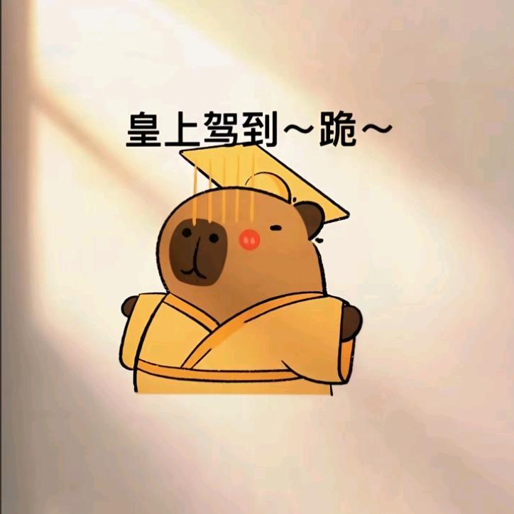 关你西红柿🍅